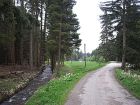 Avia A21.1F